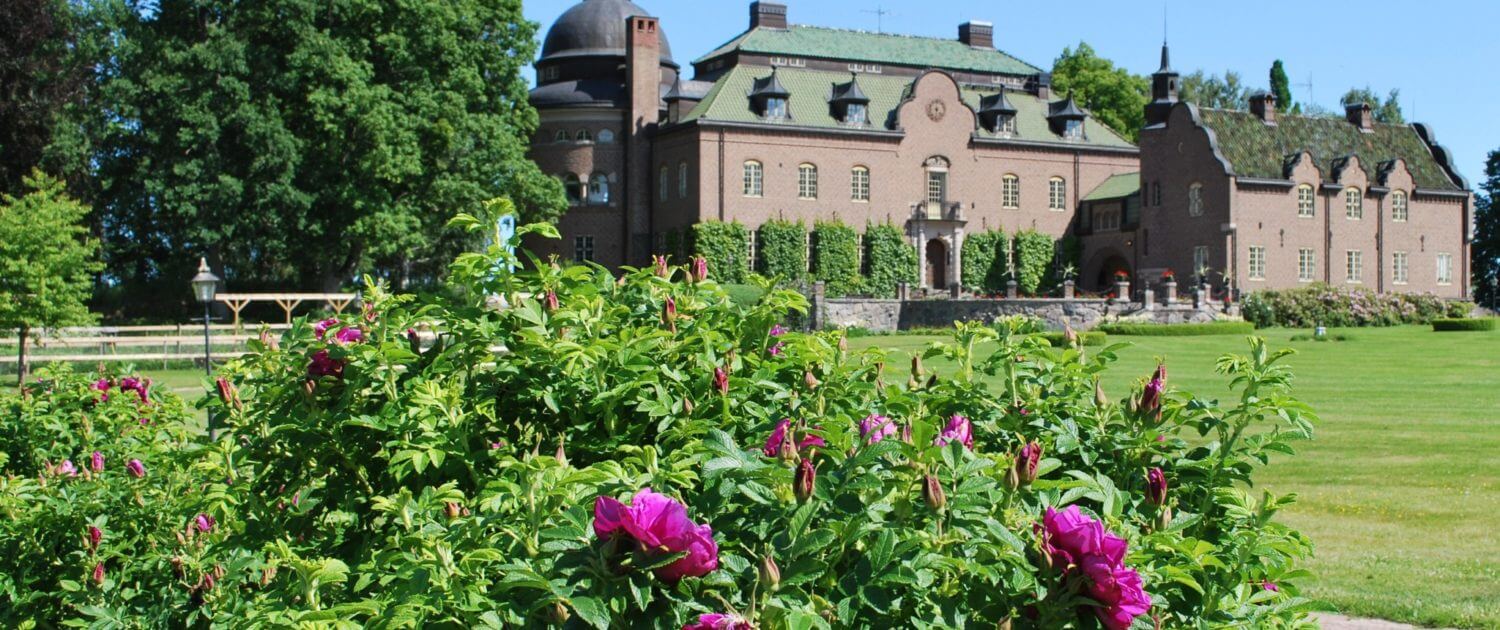 Engsholms slott slottspark rosor