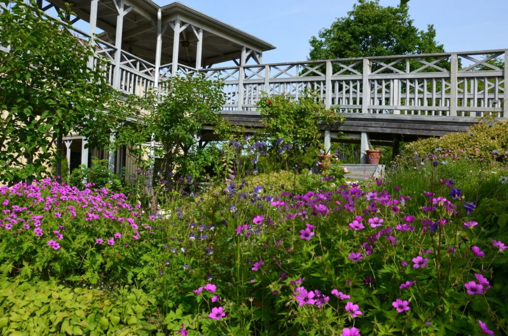 Engsholms Slottspark växter perenner