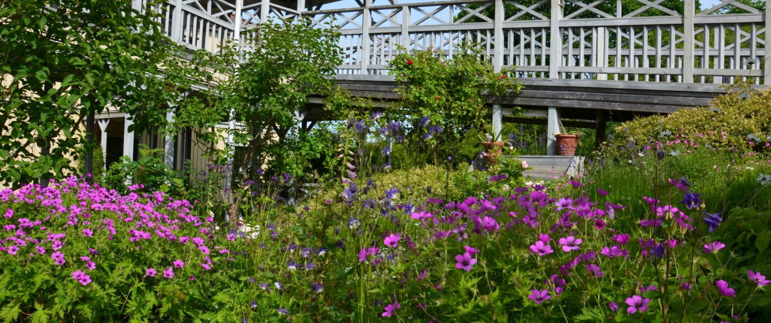 Engsholms Slottspark växter perenner